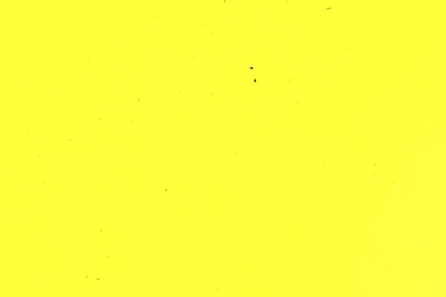 Image 16